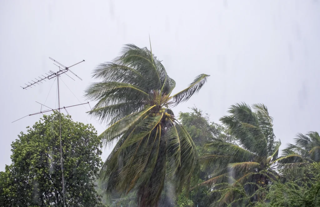 Drain Cleaning in Kissimmee, FL: How Spring Showers Can Lead to Sewer Line Issues